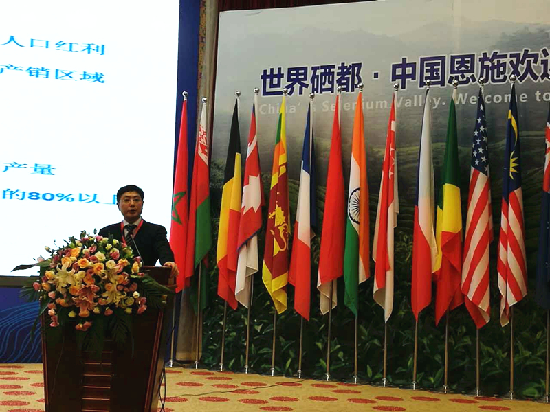 浙茶集團受邀參加2017國際茶業(yè)大會(huì )  集團董事長(cháng)毛立民獲獎