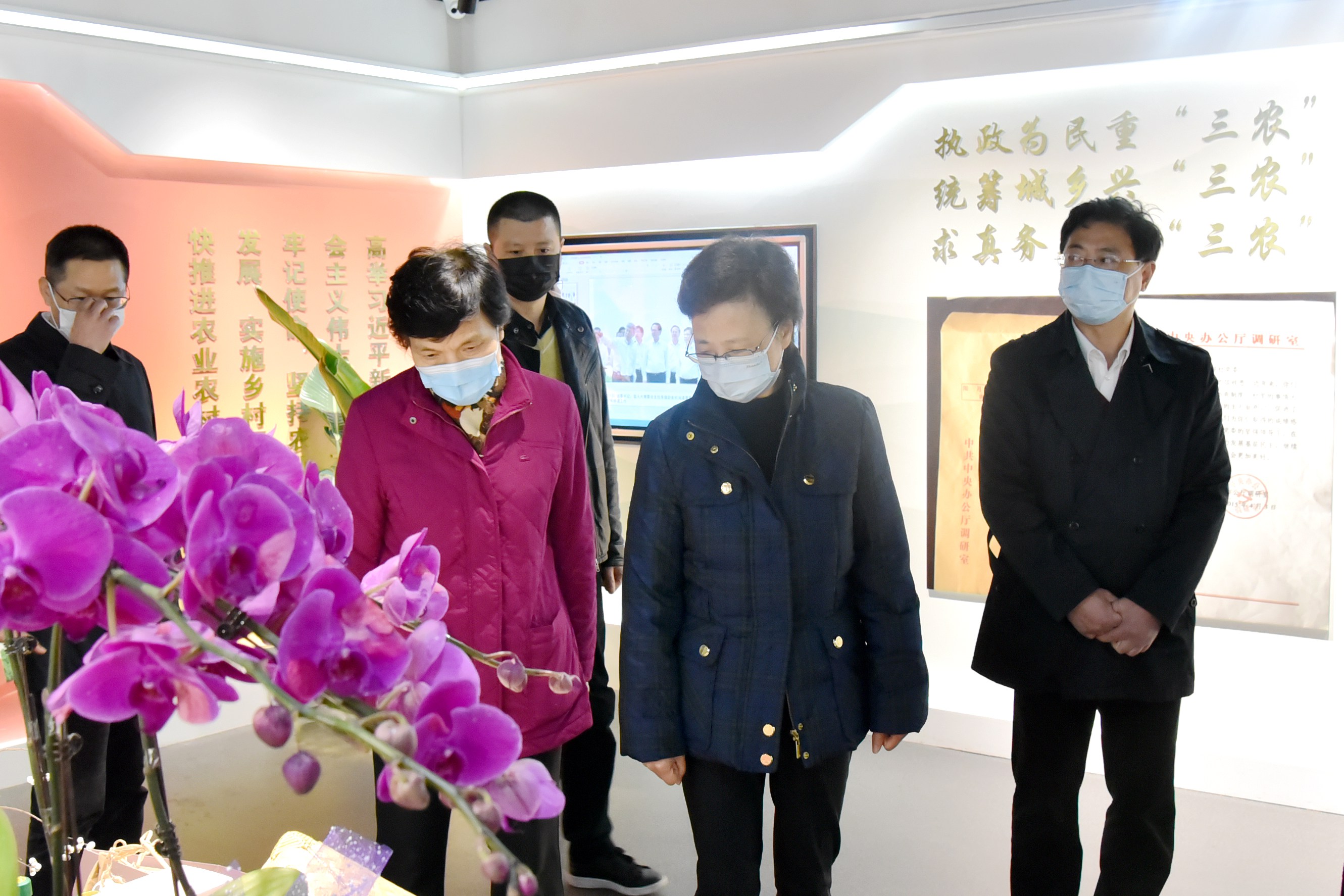 浙江省人大常委會(huì )梁黎明書(shū)記一行蒞臨浙茶集團調研